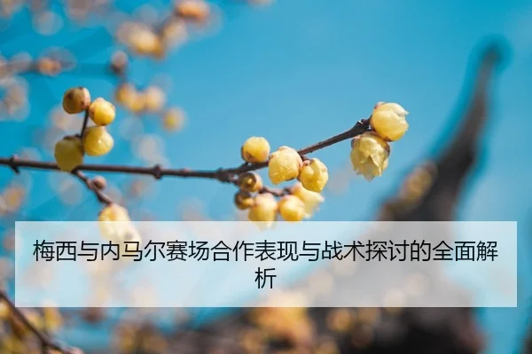 mei-xi-yu-nei-ma-er-sai-chang-he-zuo-biao-xian-yu-zhan-shu-tan-tao-de-quan-mian-jie-xi-2-803.jpg