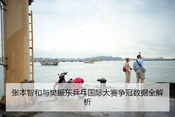 张本智和与樊振东乒乓国际大赛争冠数据全解析